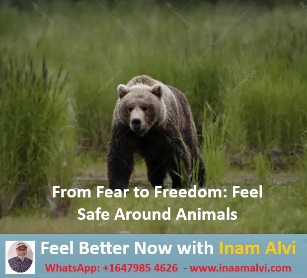 Meet Inam Alvi